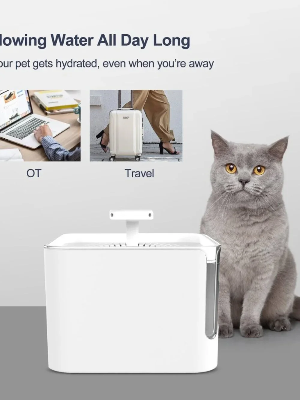 3L Automatic Cat Water Fountain Dog Water Dispenser Ultra Quiet Pump - Picture 7 of 8